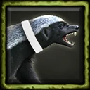 Honey Badger